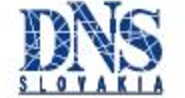 DNS a.s.